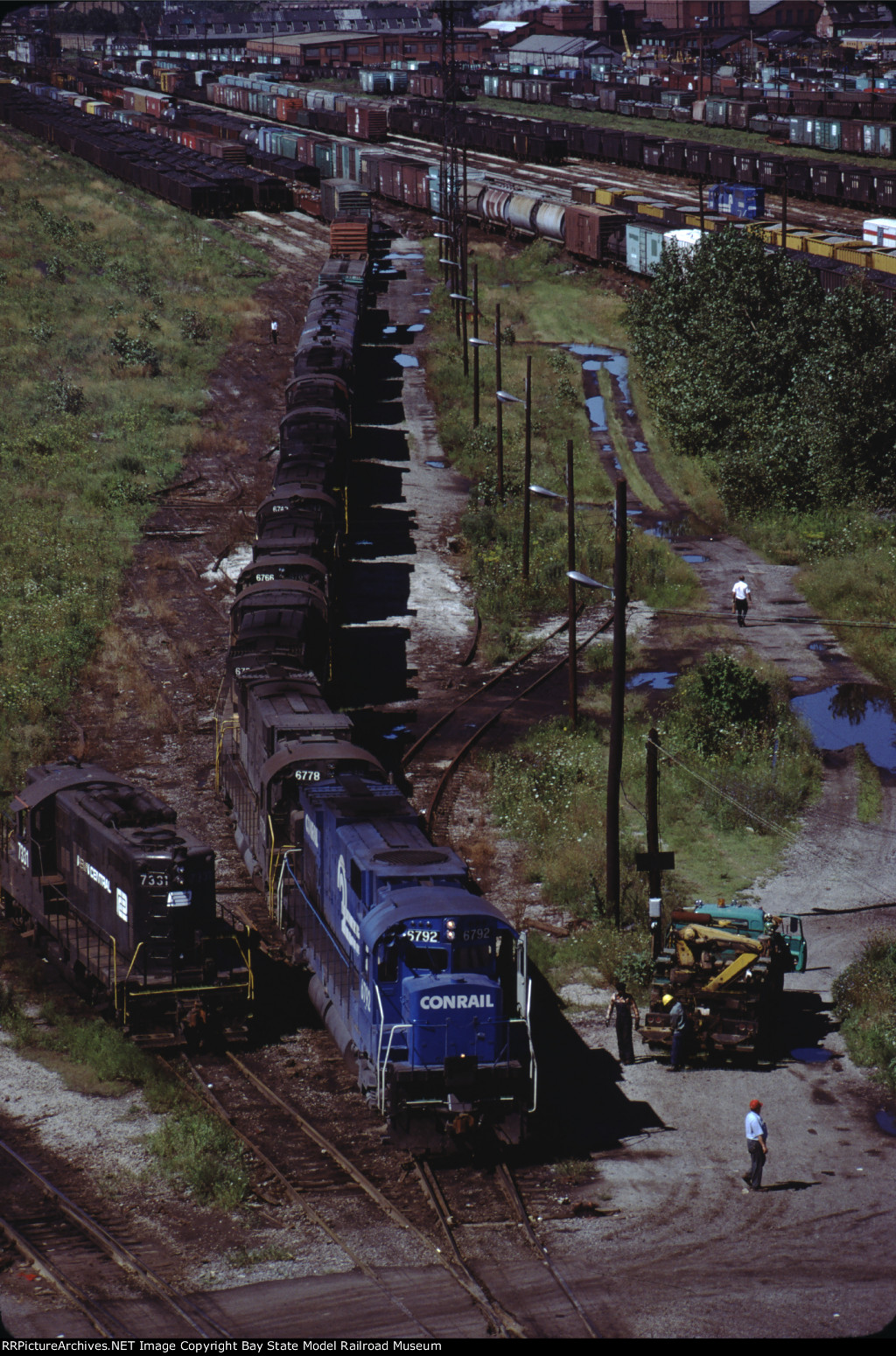 Overhead view of a doozy of a dozen